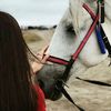 aslahanova_seda95