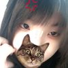 wochnmsb_12280524