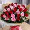 aylin02256