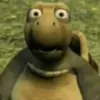 boybim27