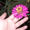 aquariusssgirl98