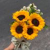 sunflower_ou