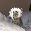 godneki1