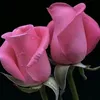 user9237687627966