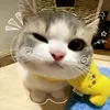 okokokokikkk98181