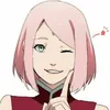sakuraharuno5015