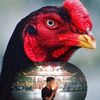 dutay_farm_official