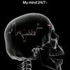 jarzyfx1