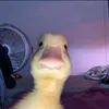 rzkyyyaa