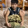 phongtra868