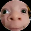 nghichitdutculodit