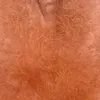 gingerbeard97