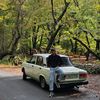 saleh_404_