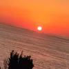 kani_767