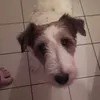 dyhr7u3j7anf