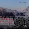 ninazenker435