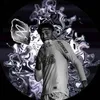davi.fpx007