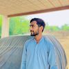 alichadha33