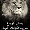 user5777964482335