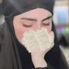 zm_r231