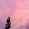 cimolnznsnns