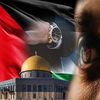 houssambendjeddo6
