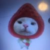 user12443159997543