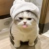 indh__vvzwrr