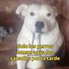 santi17_09
