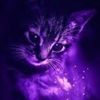 dxstroylonely_