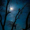 hussainal_7
