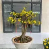 minh.quc596