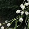 cuctana199x