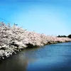 akimihakase3
