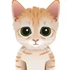 ynclr_