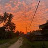 andbaim_21