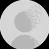 tiencongg10