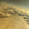 levtx