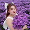 anndear887790