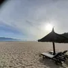 tranhoa_1106