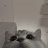 itz_iidaa