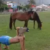 howmama_