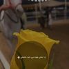 amltrfh123