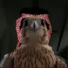 antonmllr