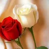 qx_ckl