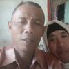 lobangider