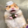 Islamic.and.halal.memes.club