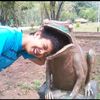 irmansyahirman48