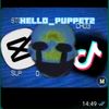 hello_puppet2