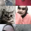 meyysiregard_